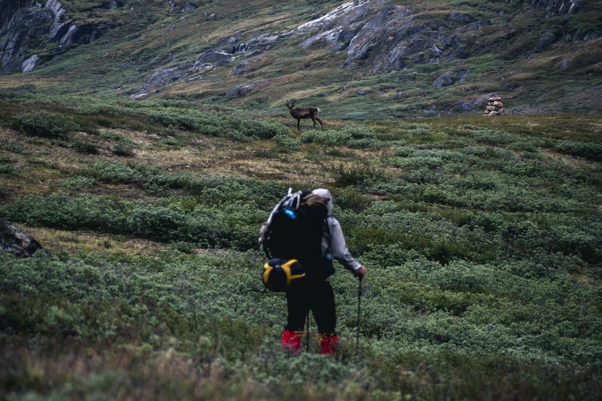 Wandern entlang des Arctic Circle Trails